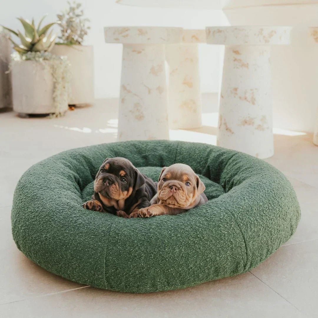 Luxury Boucle Dog Bed - Image 6