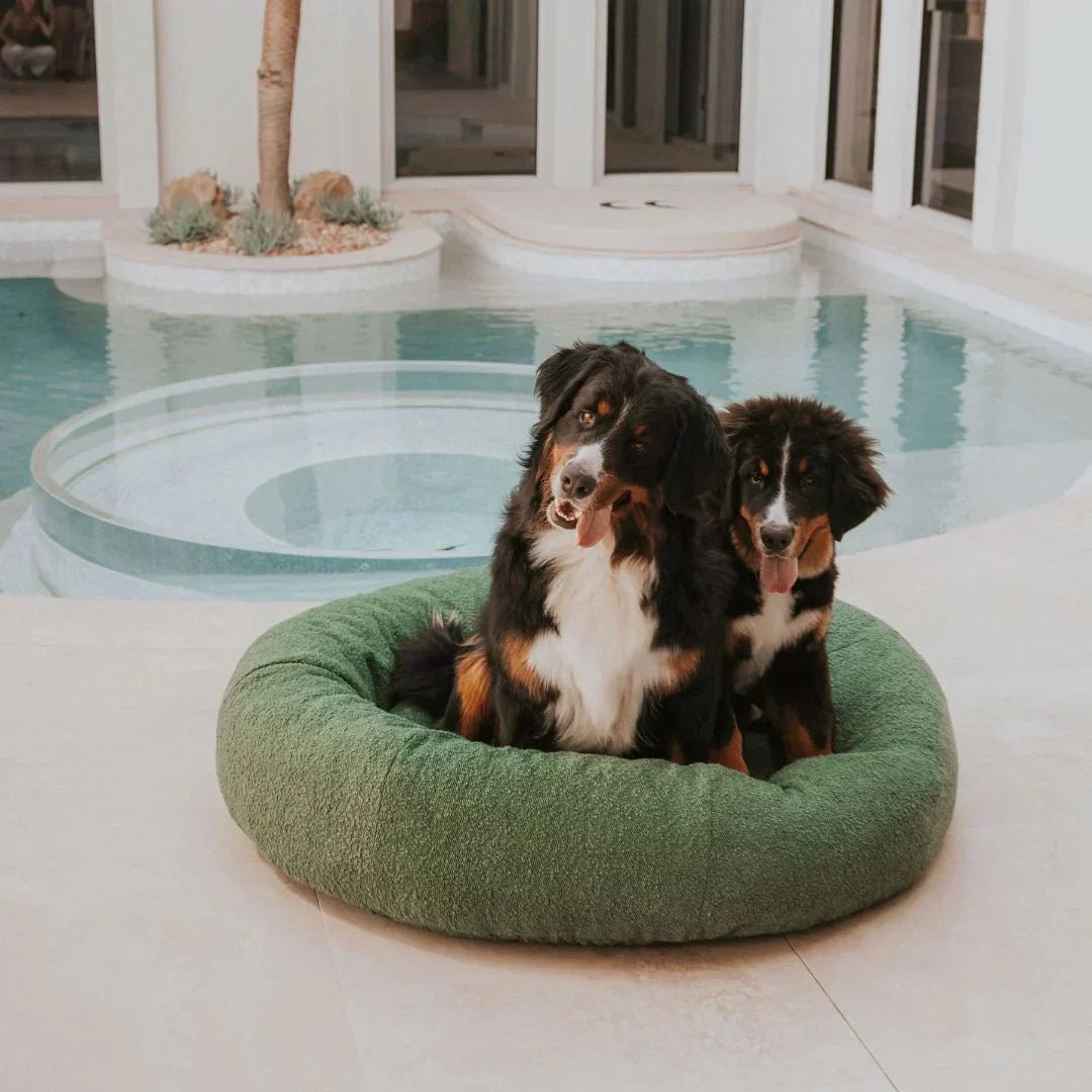 Luxury Boucle Dog Bed - Image 5